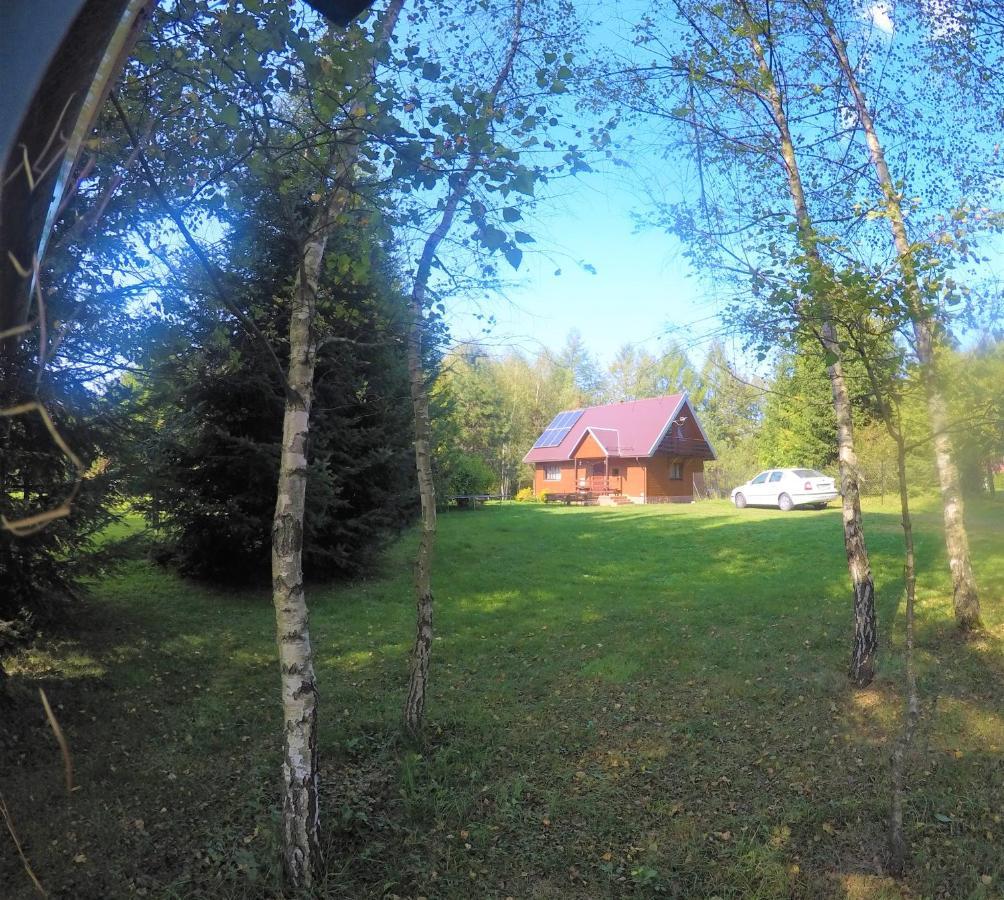 Domek Nad Strumieniem Baligród Esterno foto